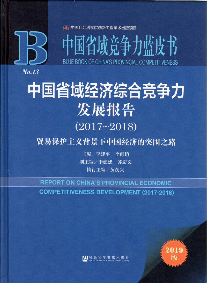 少妇操大\鸡巴视屏中国省域经济综合竞争力发展报告（2017-2018）