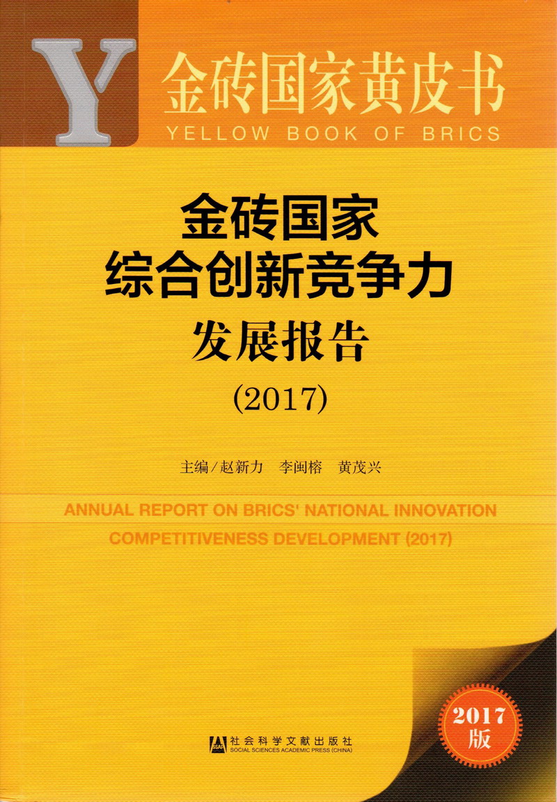 小骚屄肏逼疯狂肏死你喷尿视频金砖国家综合创新竞争力发展报告（2017）